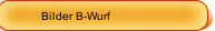 Bilder B-Wurf